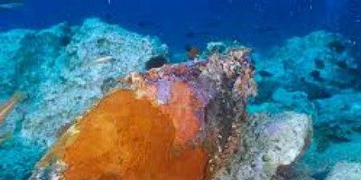 Workshop: The scientific support to Munition in the Sea